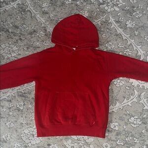 TNA Red Hoodie | Aritzia